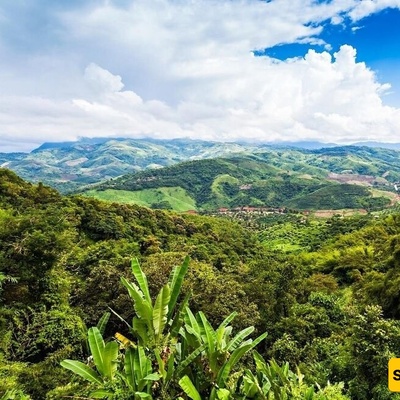 رصد نادر لـ«الجراد» لم یُر منذ 85 عامًا