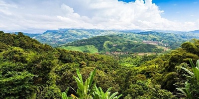 رصد نادر لـ«الجراد» لم یُر منذ 85 عامًا