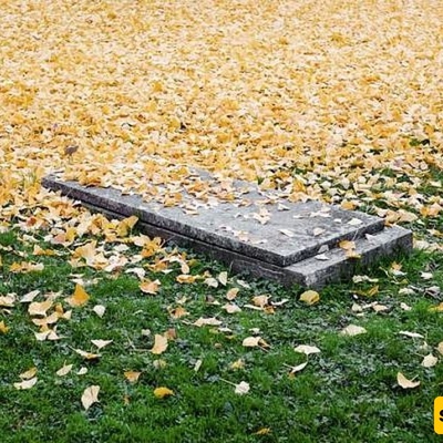 أغرب شاهد قبر یعود لزوجین عاشقان