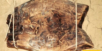 اکتشاف مذهل لألواح عمرها 7 آلاف عام قد یعید کتابه التاریخ