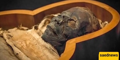 مومیاء غریبه لمراهق تُکتشف بجلد ولحم سلیم! +فیدیو