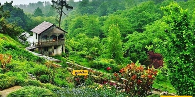 لماذا تُعدّ حدیقه باتومی النباتیه واحدهً من أجمل المعالم السیاحیه فی جورجیا؟ کل ما تحتاج إلى معرفته قبل زیارتها