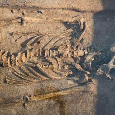 إعاده بناء وجه امرأه من العصر البرونزی عمرها 3800 عام من هیکلها العظمی + صور