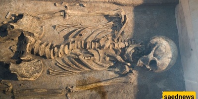 إعاده بناء وجه امرأه من العصر البرونزی عمرها 3800 عام من هیکلها العظمی + صور