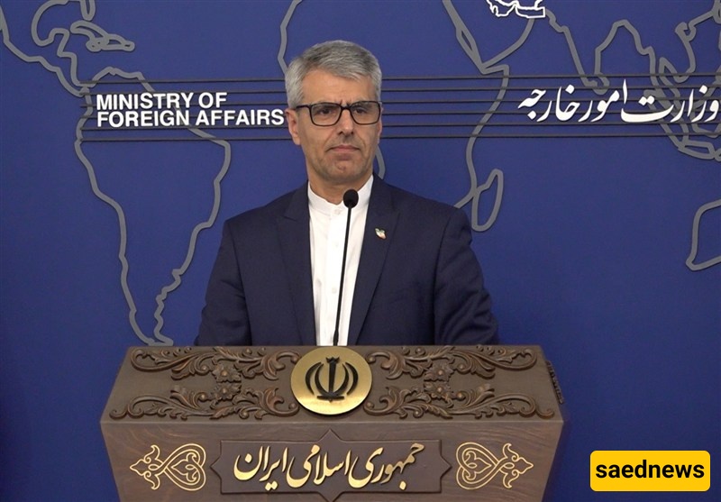 بقائی یرد على إقرار نائب فی البرلمان الأوروبی بارتکاب إسرائیل جرائم حرب