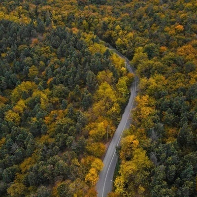 غابات مازندران تشتعل بأبهى ألوان الخریف!