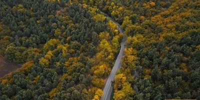 غابات مازندران تشتعل بأبهى ألوان الخریف!