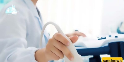 وضع جنینی لطیف یظهر أثناء الموجات فوق الصوتیه