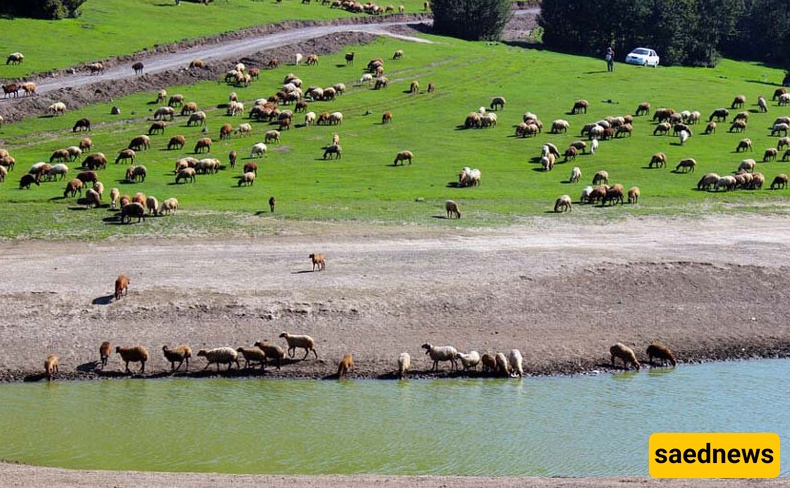 بحیره سوها