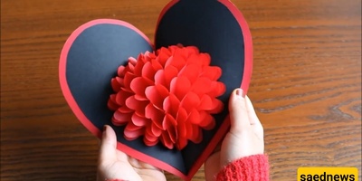 تصمیم بطاقه بریدیه