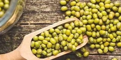 ما هی طبیعه وخصائص حبوب الماش فی الطب التقلیدی؟