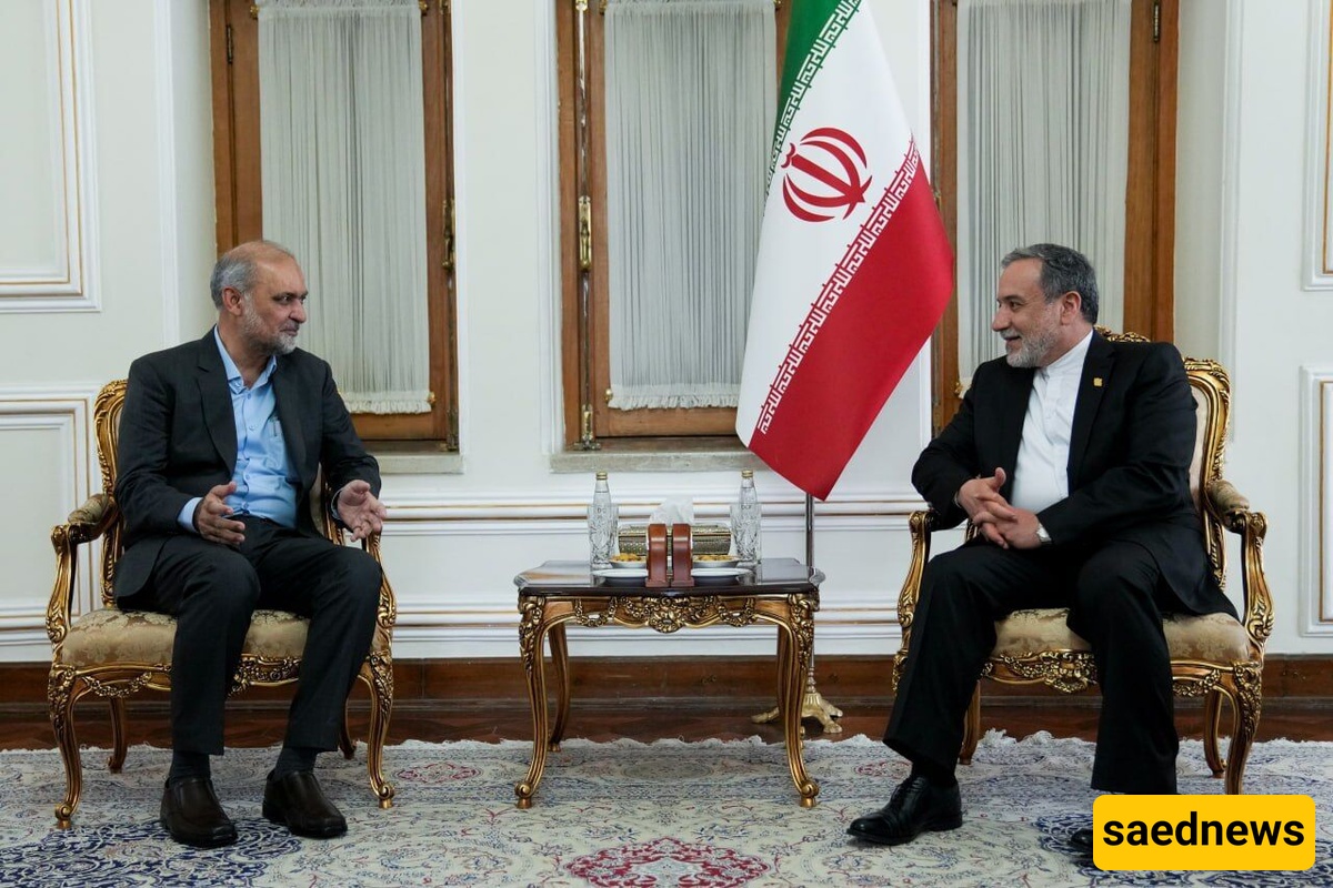 عراقجی: الصداقه والأخوه بین إیران وباکستان متینه وراسخه الجذور