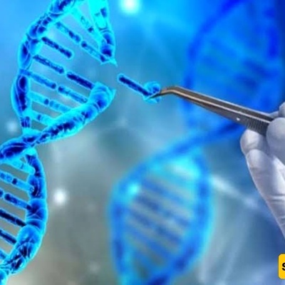 العلاج الجینی: نهج حدیث لعلاج الأمراض من خلال تعدیل الجینات المعیبه