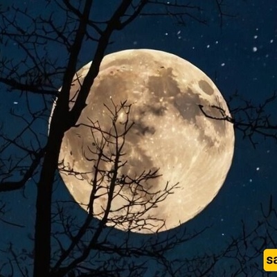 فک لغز النظام الشمسی المظلم: لیله مریبه أم فجر واعد؟