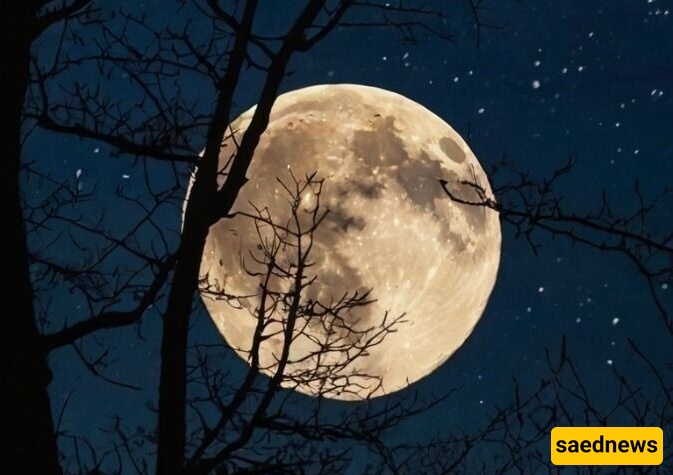 فک لغز النظام الشمسی المظلم: لیله مریبه أم فجر واعد؟