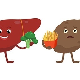 خطه سحریه لمده 7 أیام للکبد الدهنی: الأطعمه المسموحه والممنوعه