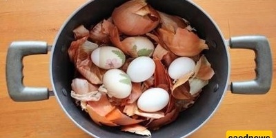 علاج البصل للنساء: طریقه طبیعیه لمده 15 یوماً لدعم تنظیف الجسم وتعزیز الخصوبه