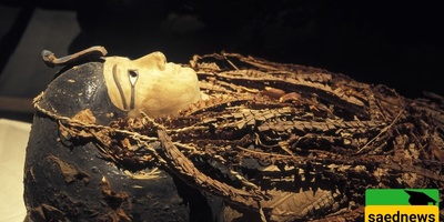 الوجه الحقیقی للفرعون أمنحتب الأول یُکشف لأول مره: صوره مذهله لأحد أشهر حکام مصر القدیمه