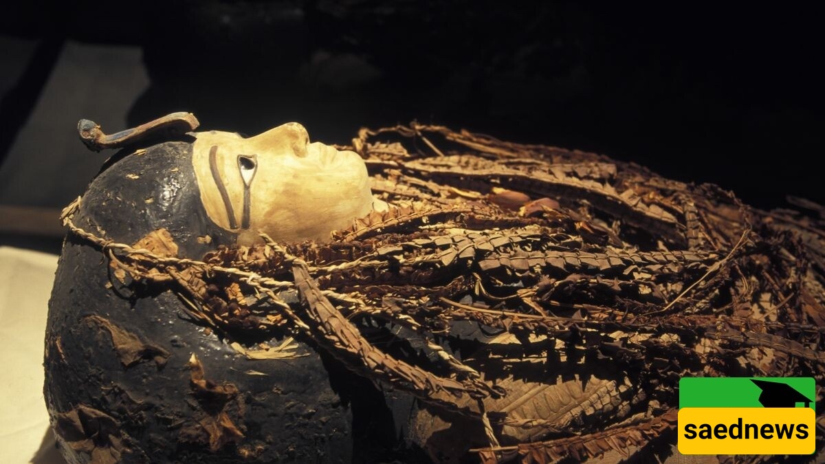 الوجه الحقیقی للفرعون أمنحتب الأول یُکشف لأول مره: صوره مذهله لأحد أشهر حکام مصر القدیمه